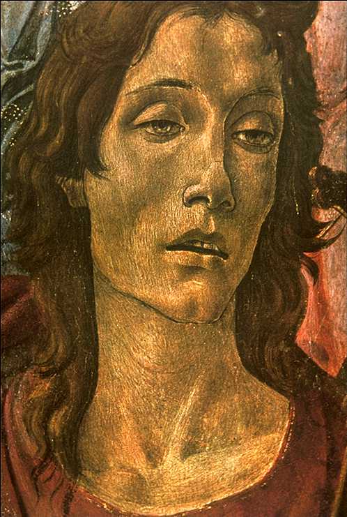 BOTTICELLI, Sandro San Barnaba Altarpiece (detail: head of St John) gdfg